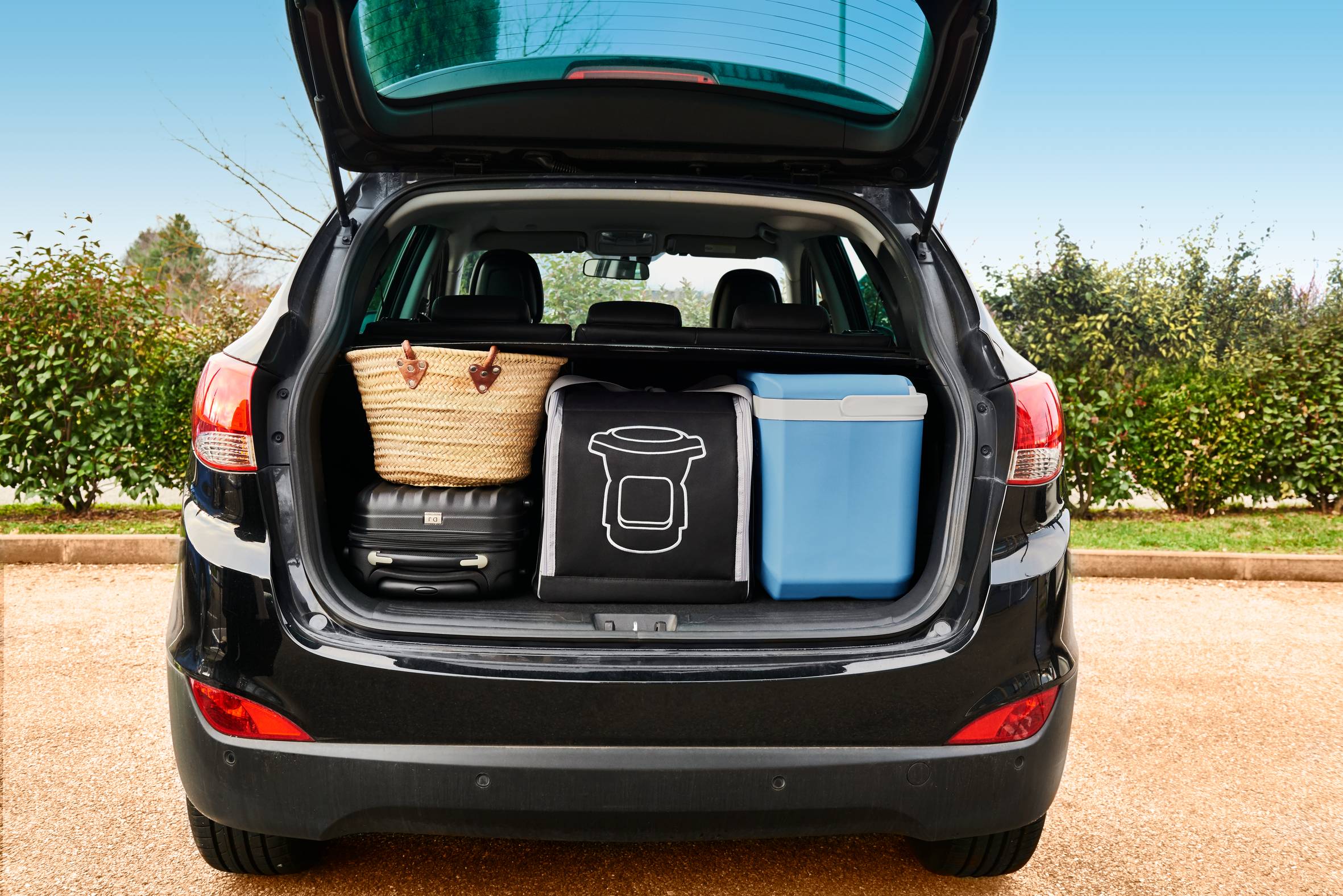 Pokrowiec transportowy Companion XF38I837