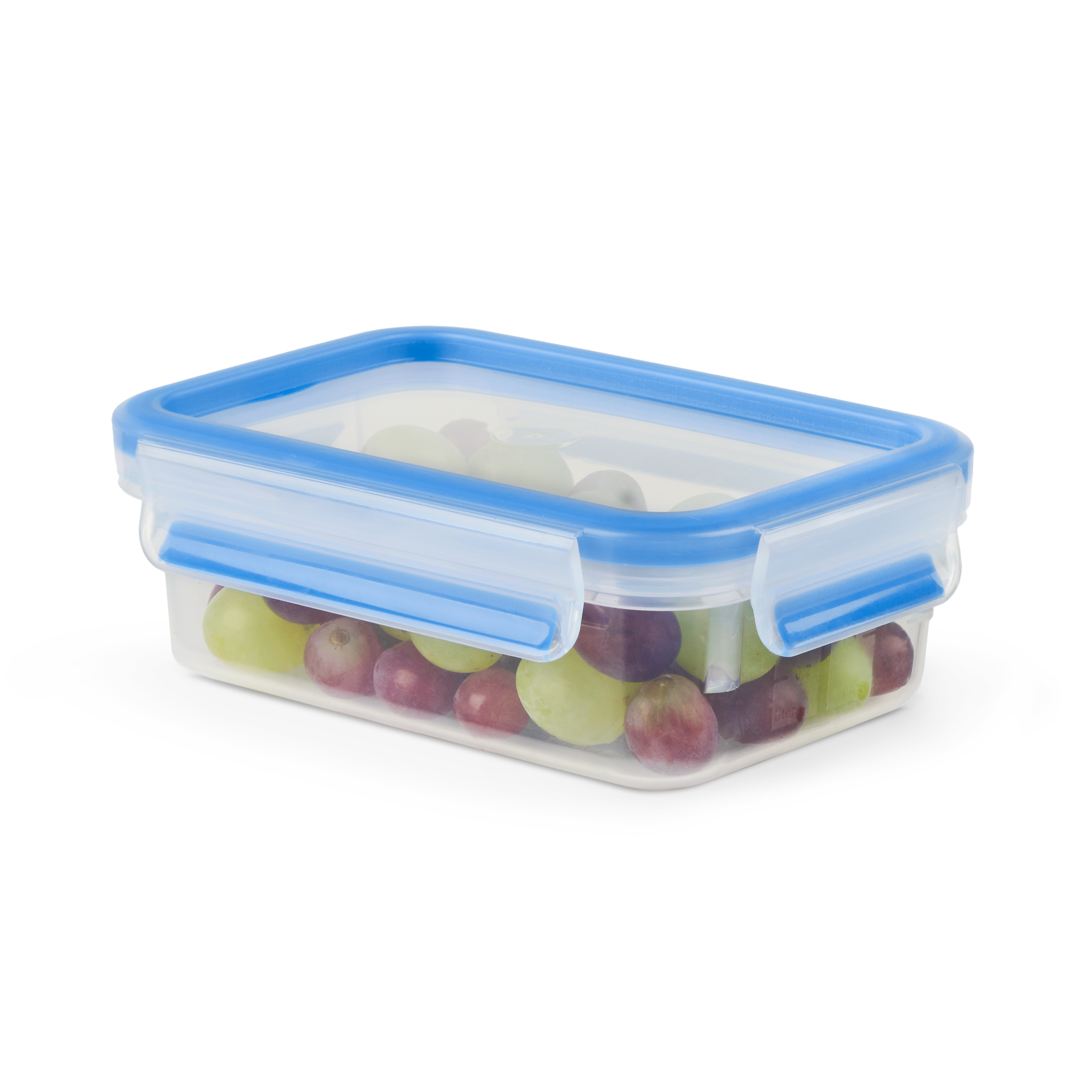 PRZECHOWYWANIE ŻYWNOŚCI MASTERSEAL FRESH