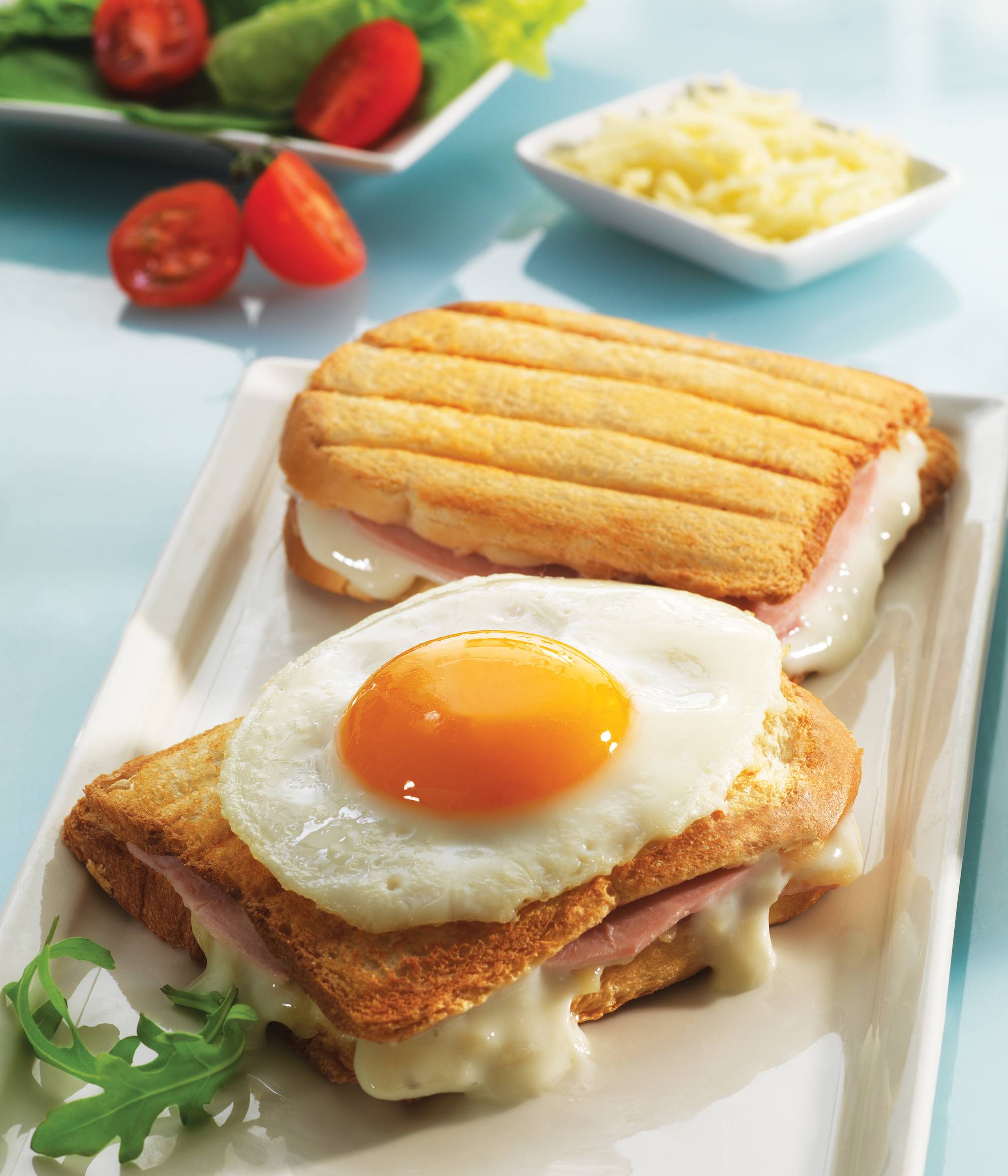 2 płytki do croque monsieur Snack Collection XA8101F0