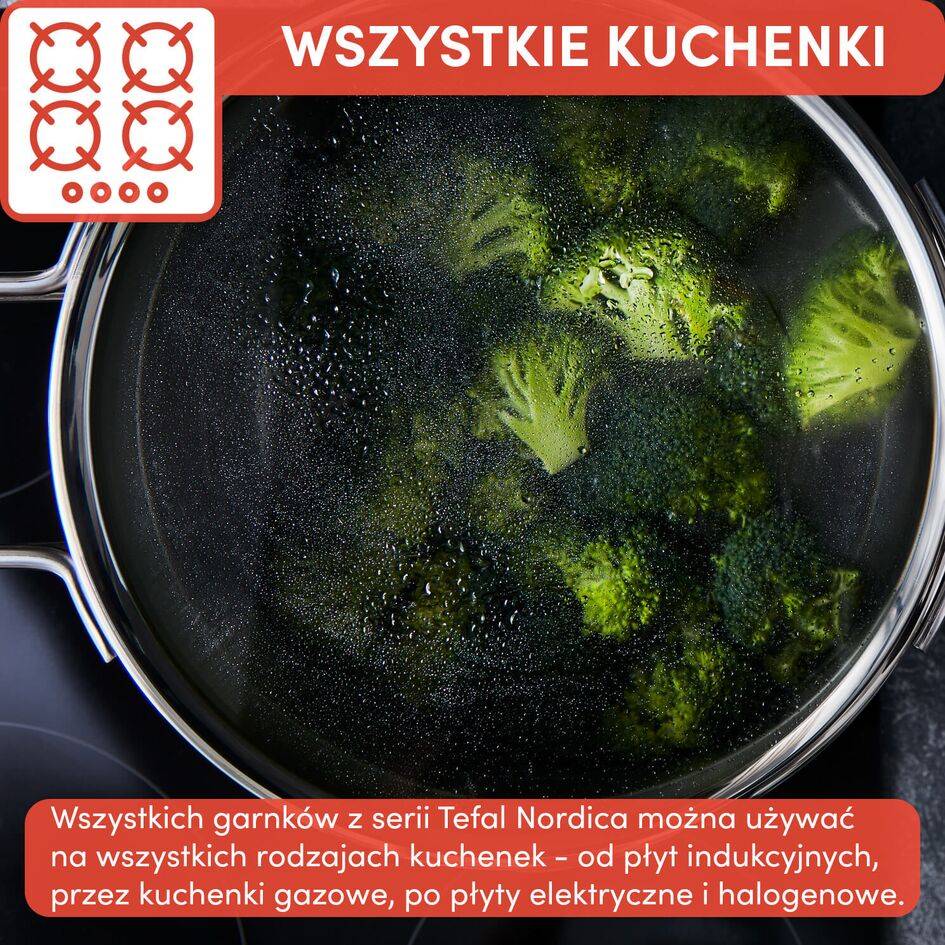 Zestaw garnków z pokrywkami TEFAL NORDICA- 10 elementów