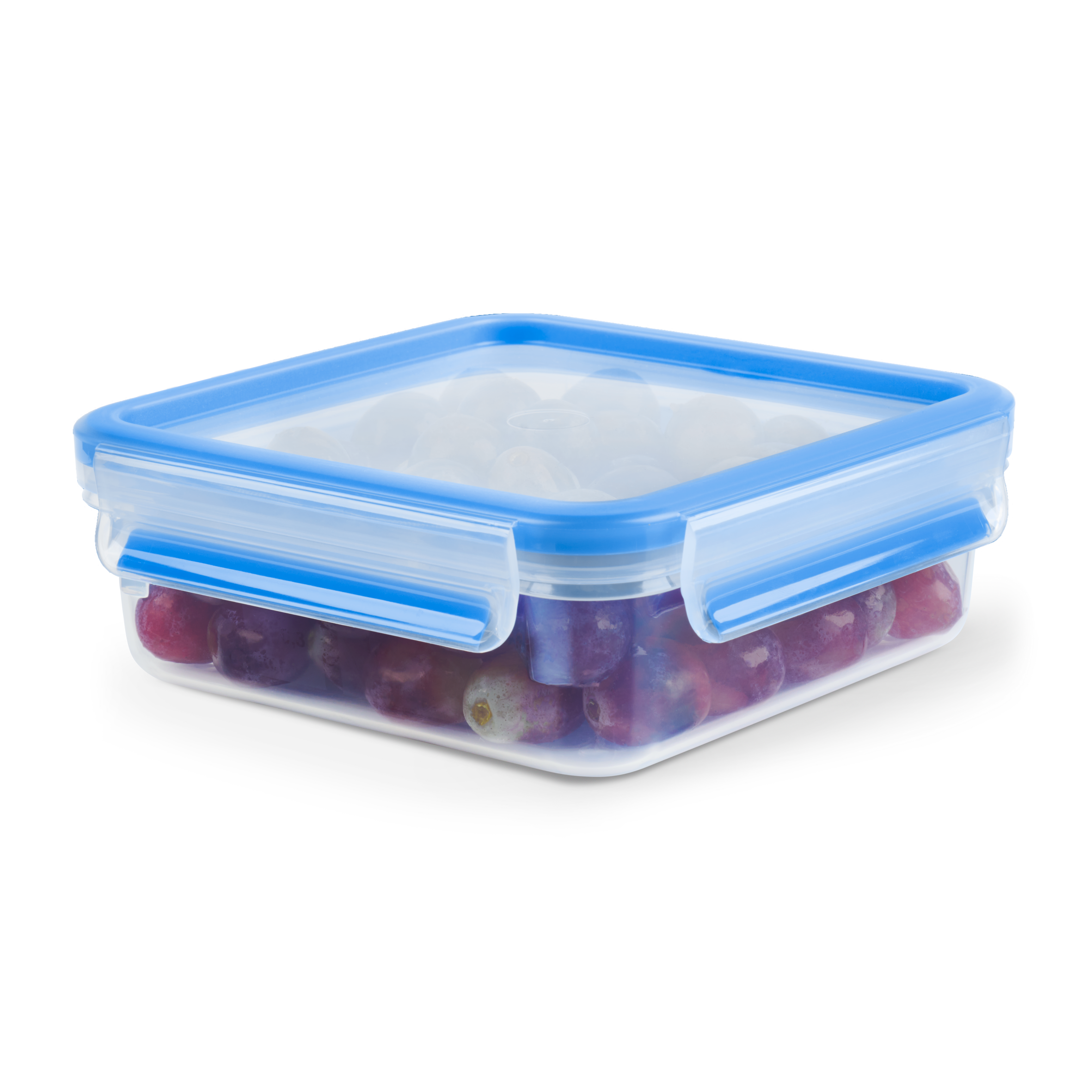 PRZECHOWYWANIE ŻYWNOŚCI MASTERSEAL FRESH