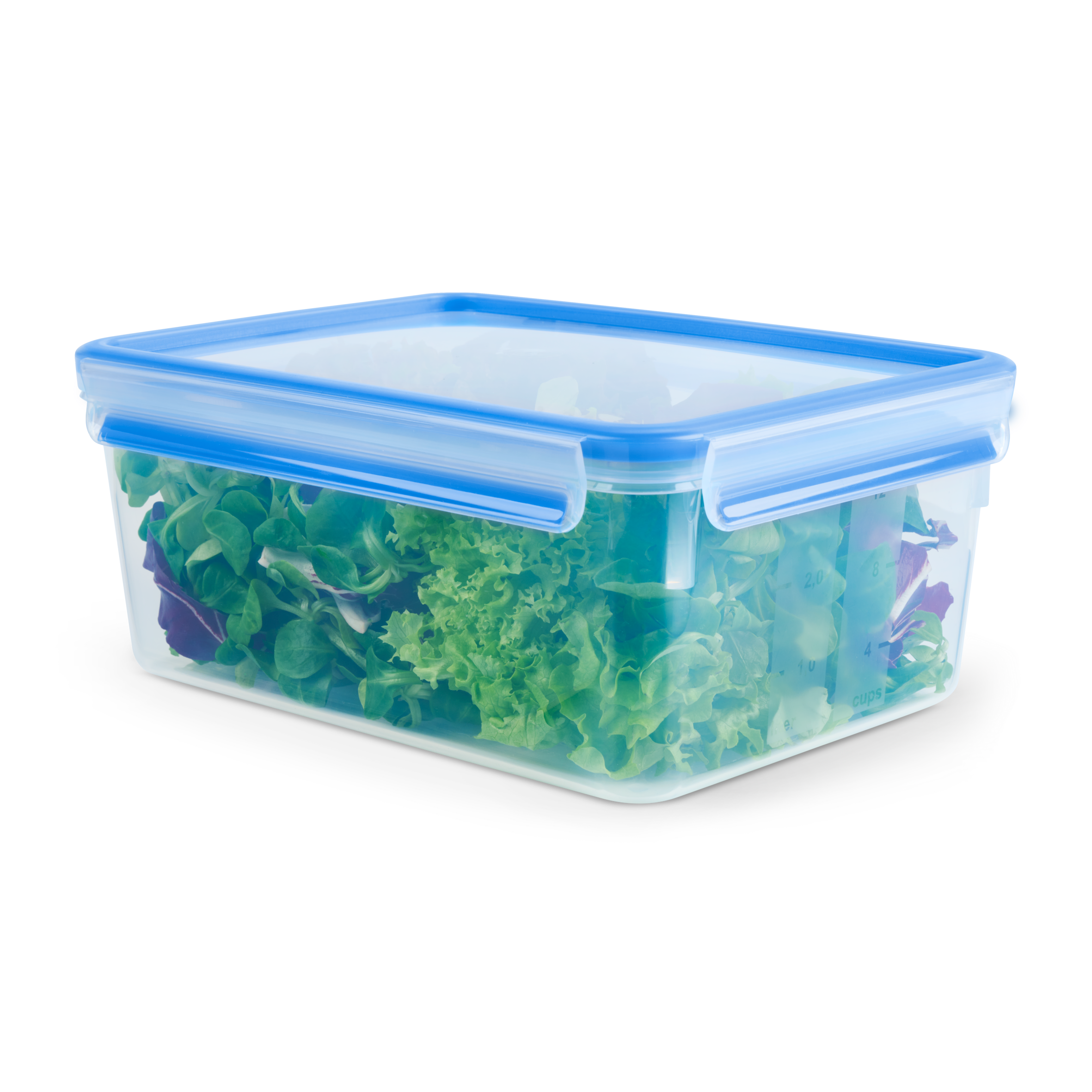 Duży pojemnik do przechowywania żywności MASTERSEAL FRESH