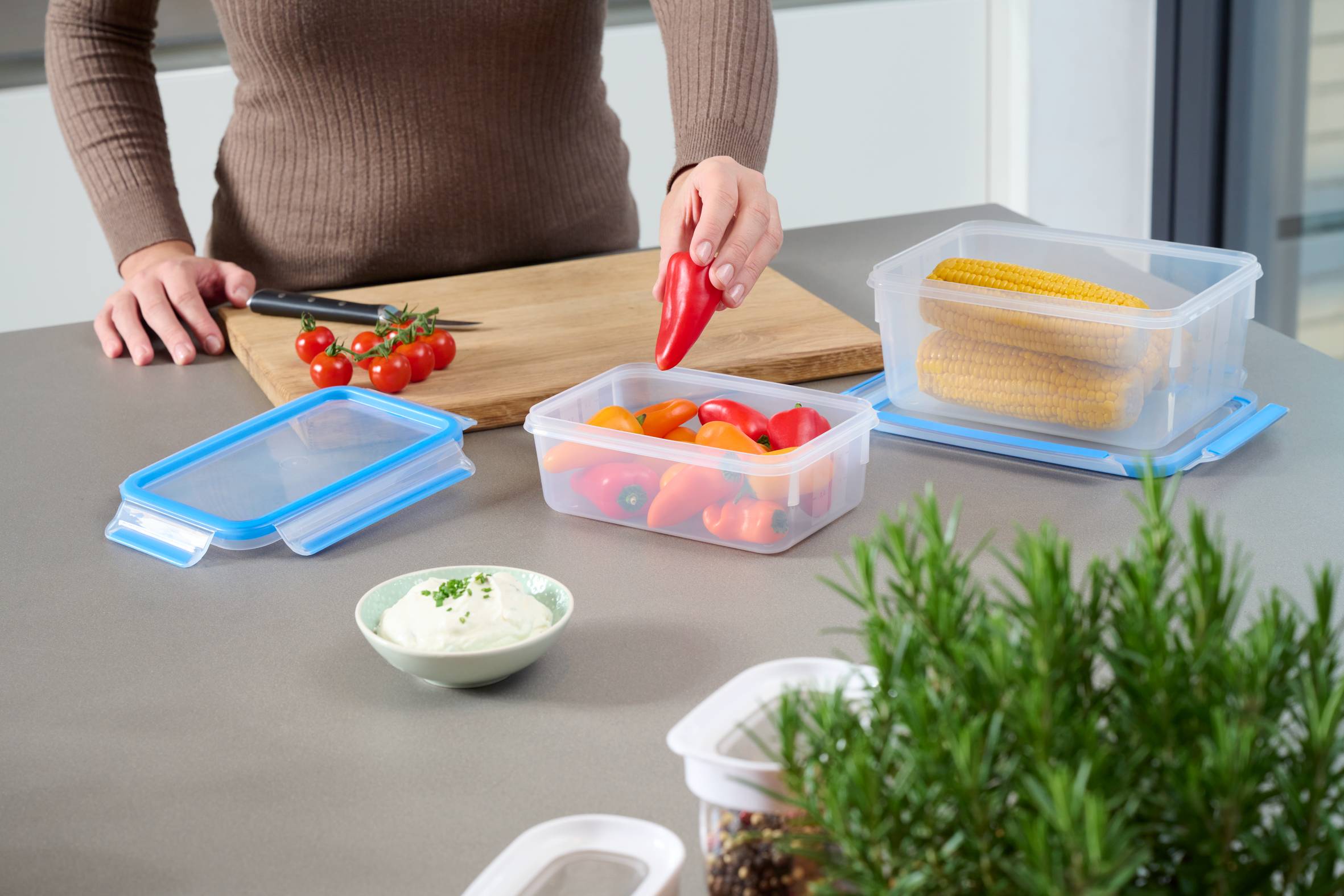 PRZECHOWYWANIE ŻYWNOŚCI MASTERSEAL FRESH