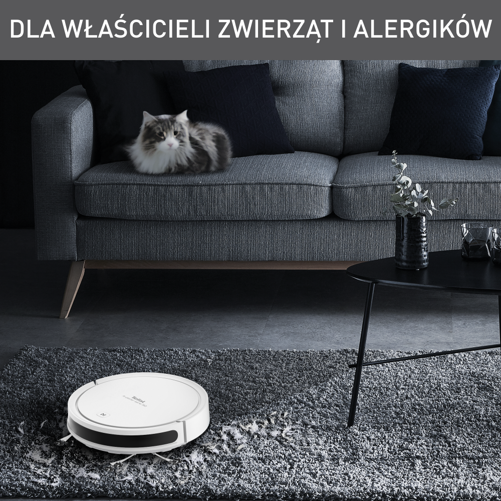 X-PLORER SERIE 50 RG7387 Skuteczne odkurzanie i mopowanie