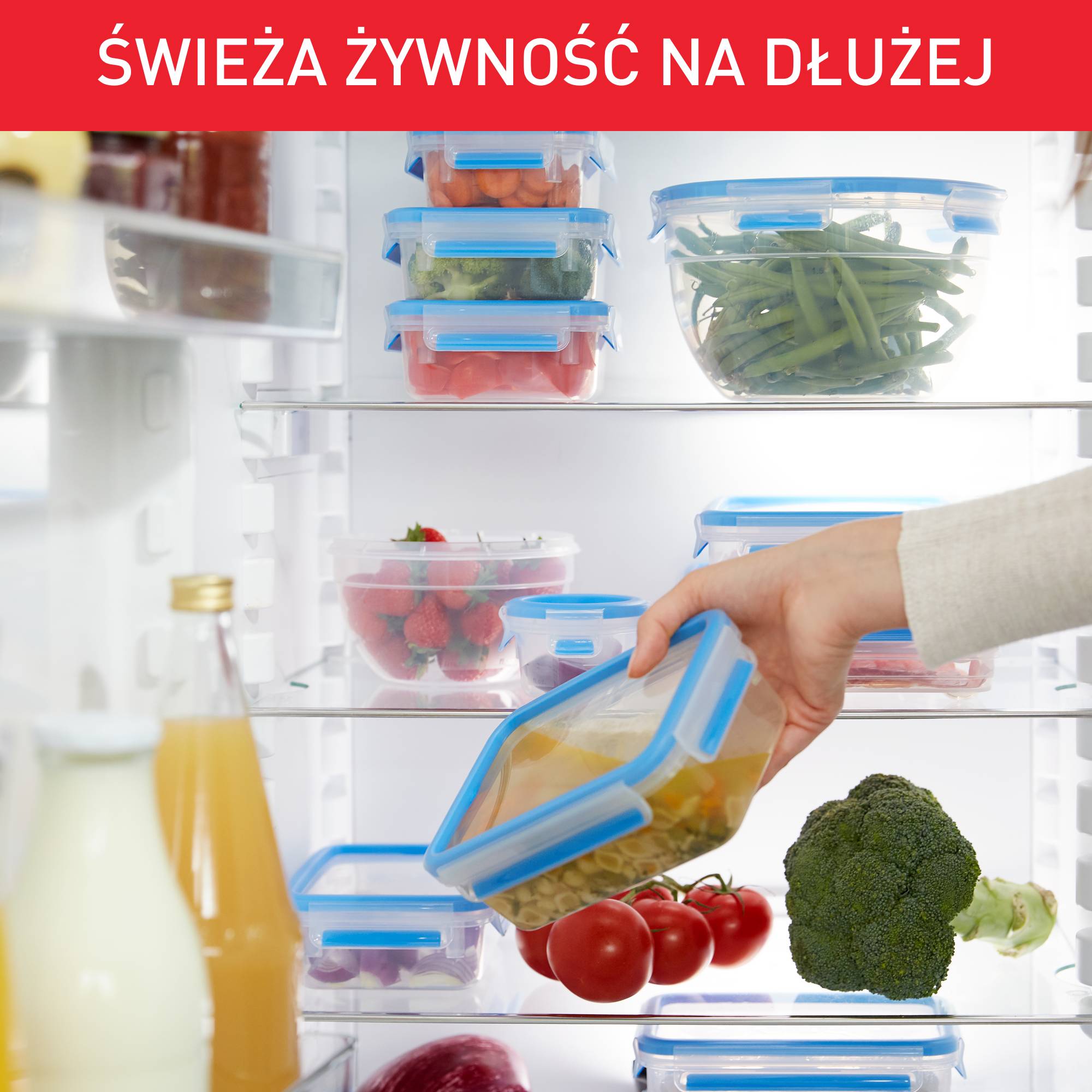 PRZECHOWYWANIE ŻYWNOŚCI MASTERSEAL FRESH