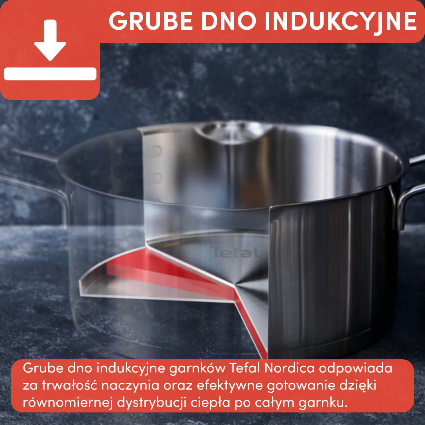 Zestaw garnków z pokrywkami TEFAL NORDICA- 10 elementów