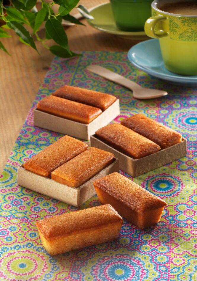 Pudełko z 2 gładkimi mini wkładkami Snack Collection XA801312