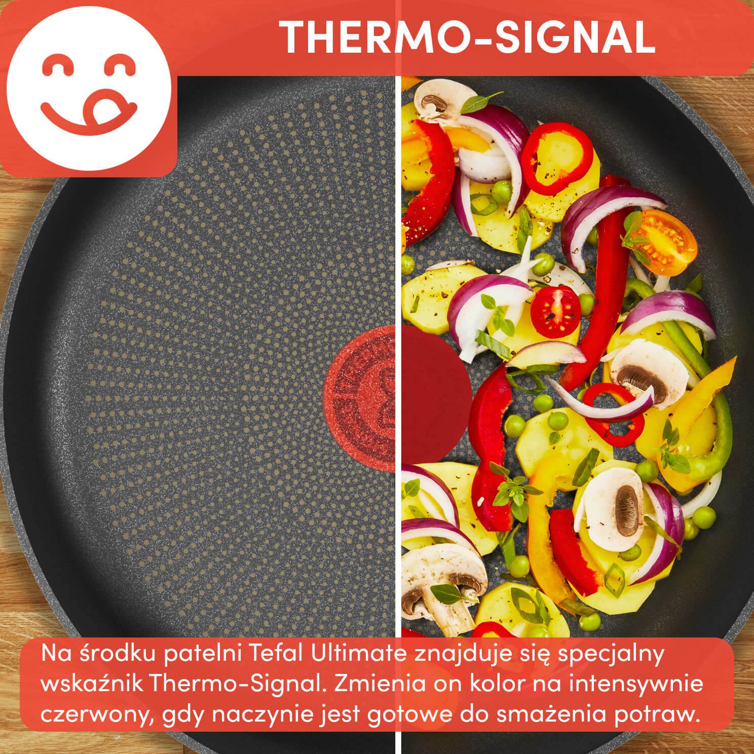 Multipan wok TEFAL ULTIMATE 26cm