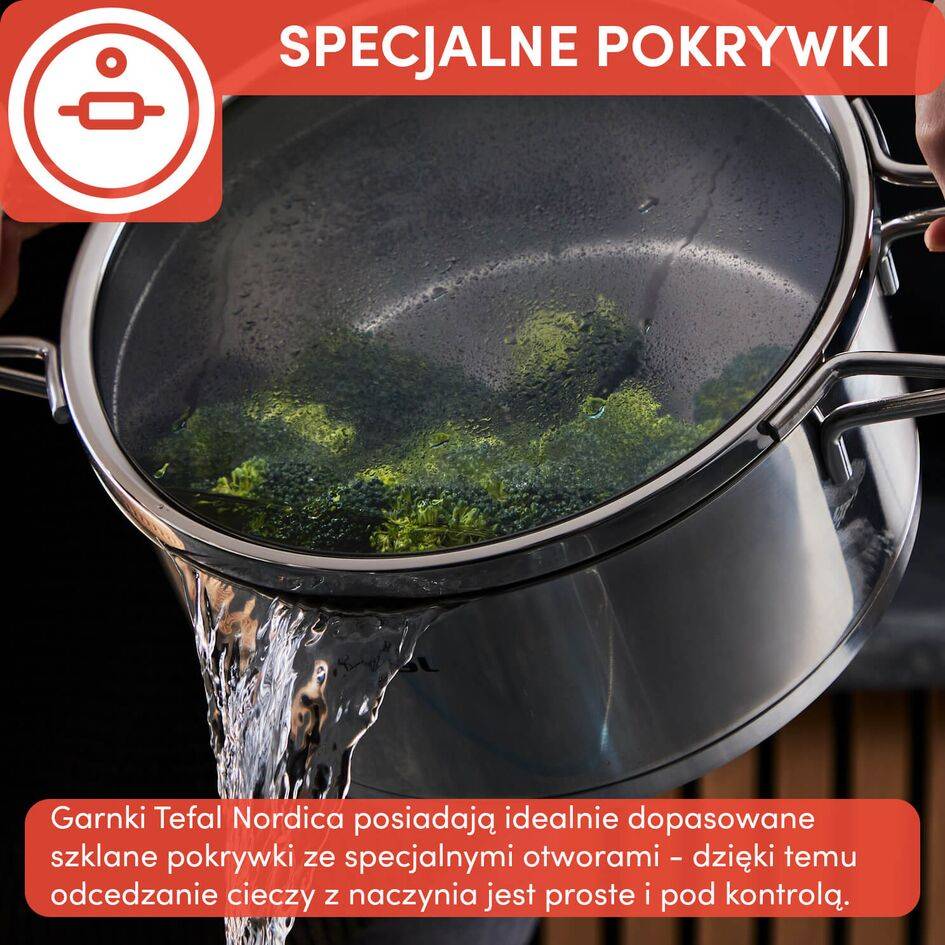 Zestaw garnków z pokrywkami TEFAL NORDICA- 10 elementów