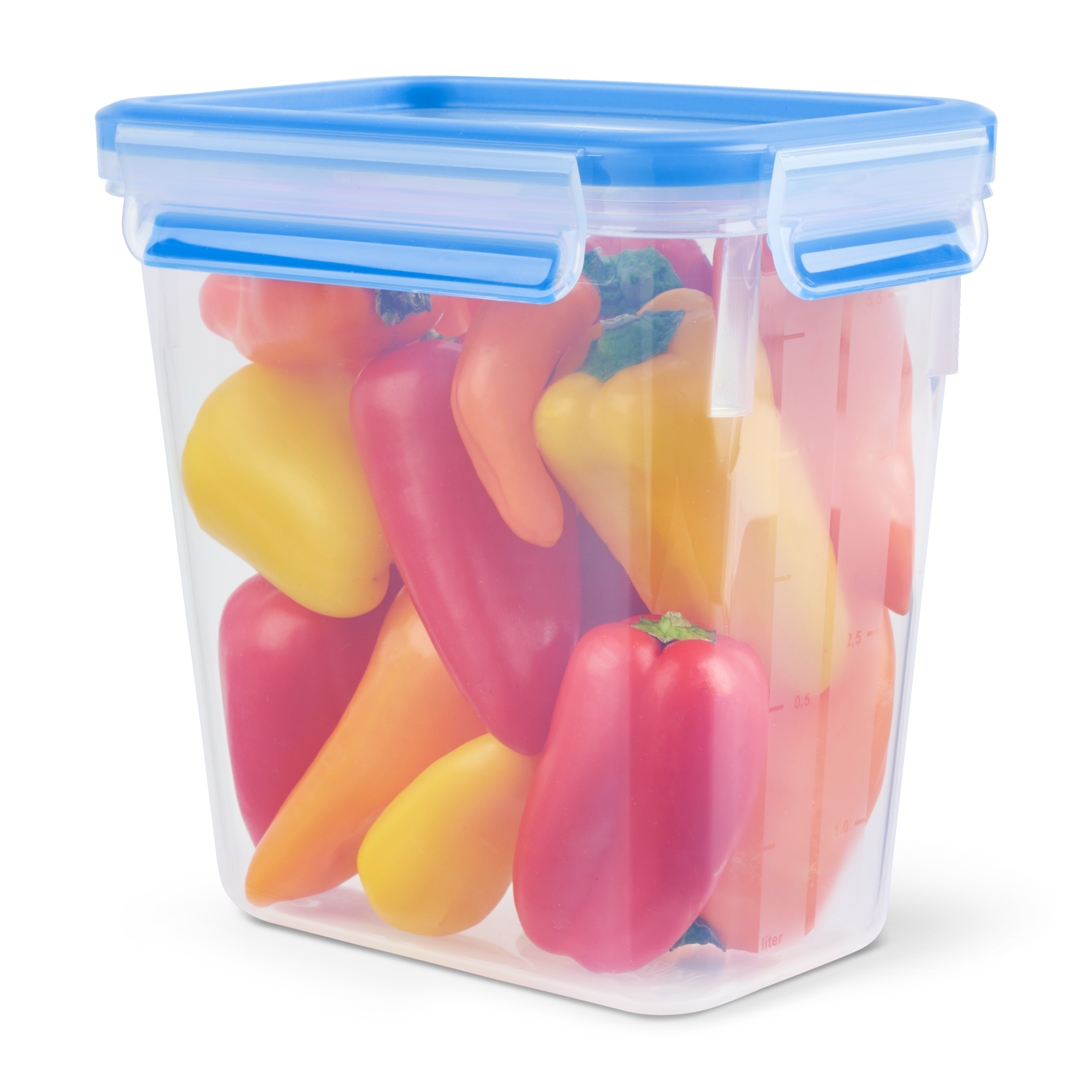 PRZECHOWYWANIE ŻYWNOŚCI MASTERSEAL FRESH