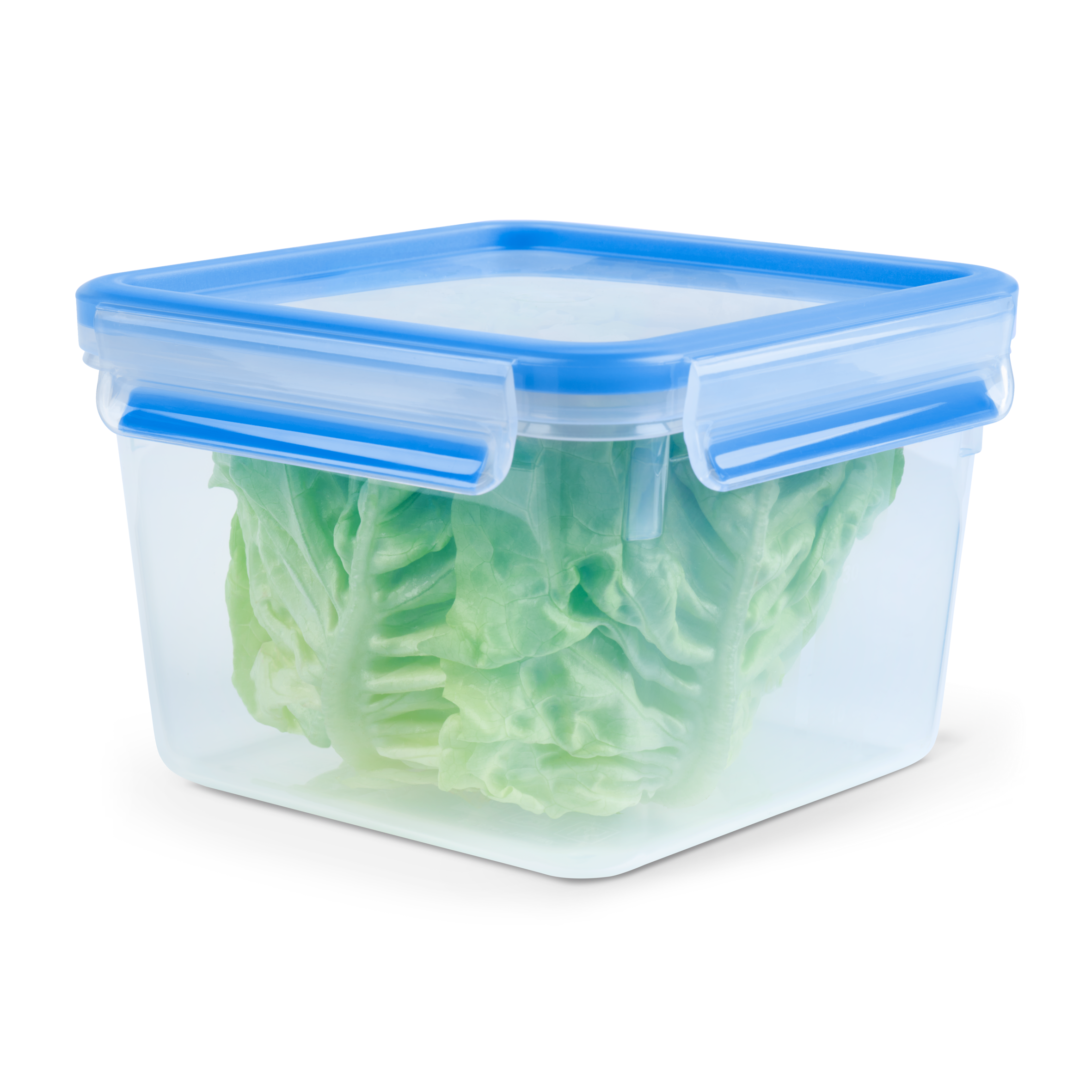 PRZECHOWYWANIE ŻYWNOŚCI MASTERSEAL FRESH