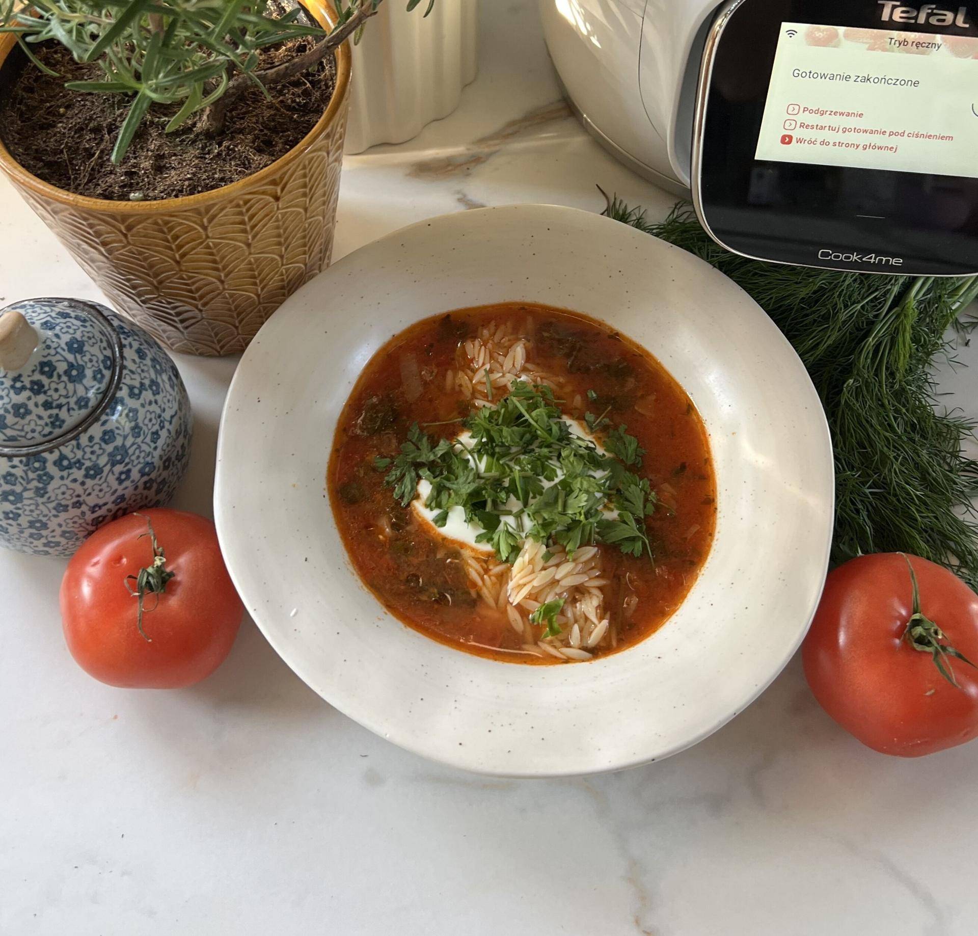 Aromatyczna zupa ze świeżych pomidorów - przepisy Cook4Me | Tefal