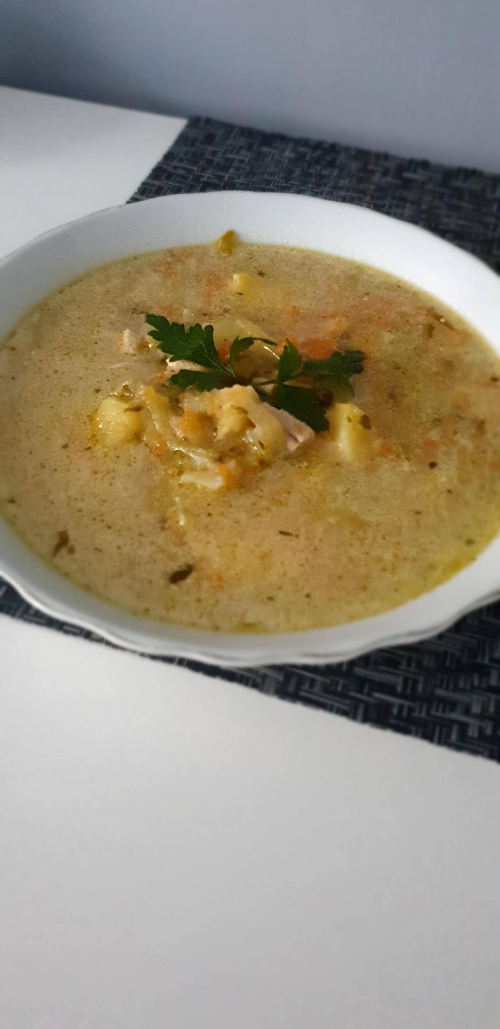 Zupa ogórkowa - przepisy Cookeo V3 | Tefal