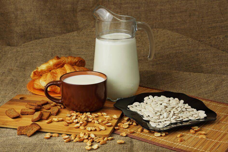 Mleko z ziaren słonecznika - przepisy Perfectmix + | Tefal