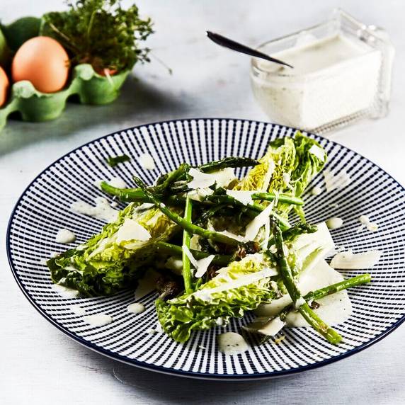 Medium-Ceasar salat im Fruehling_20188443_P.jpg